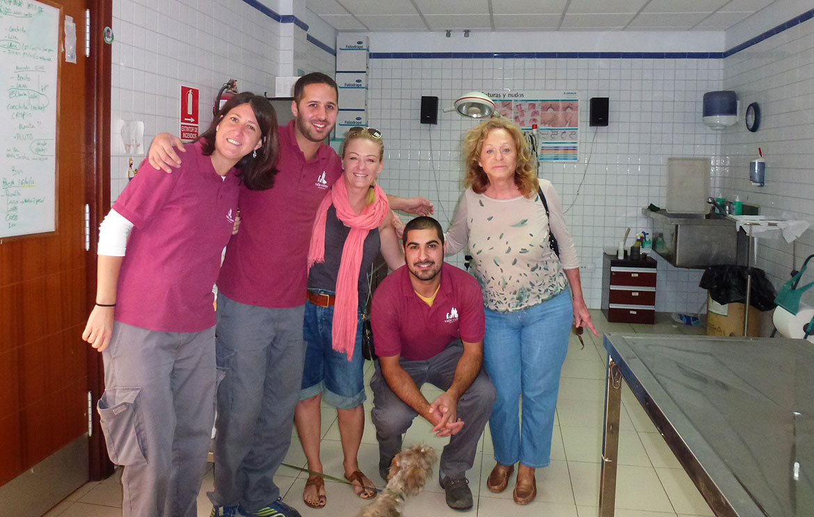 Tierheim Valle Colino - Flugpaten Teneriffa